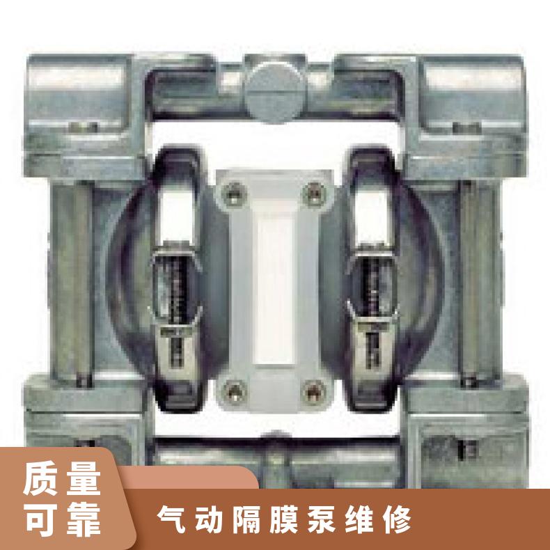 XPX200/SSAAA/TSU/TF/STF/0730 气动隔膜泵维修 P8/AAAPP/PUS