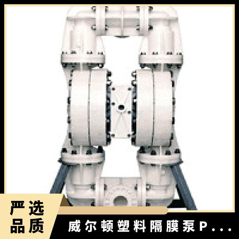 02-11996?? ?威尔顿wilden气动隔膜泵?? ?XPX200/AAAAA/T
