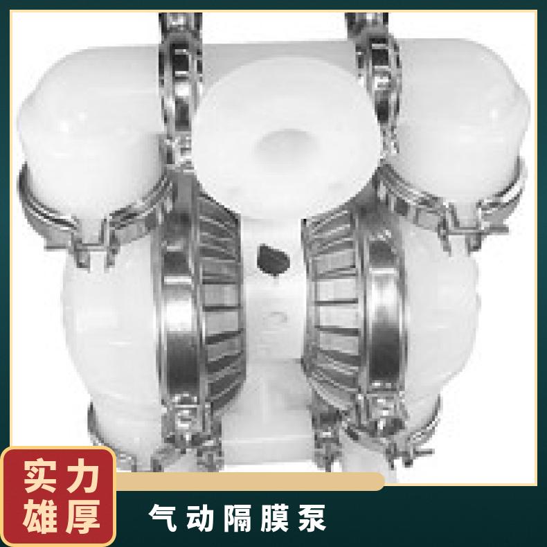 PX800/PKPPP/WFS/WF/PWF/0483 进口气动隔膜泵球 TZ-E4/PPAAB