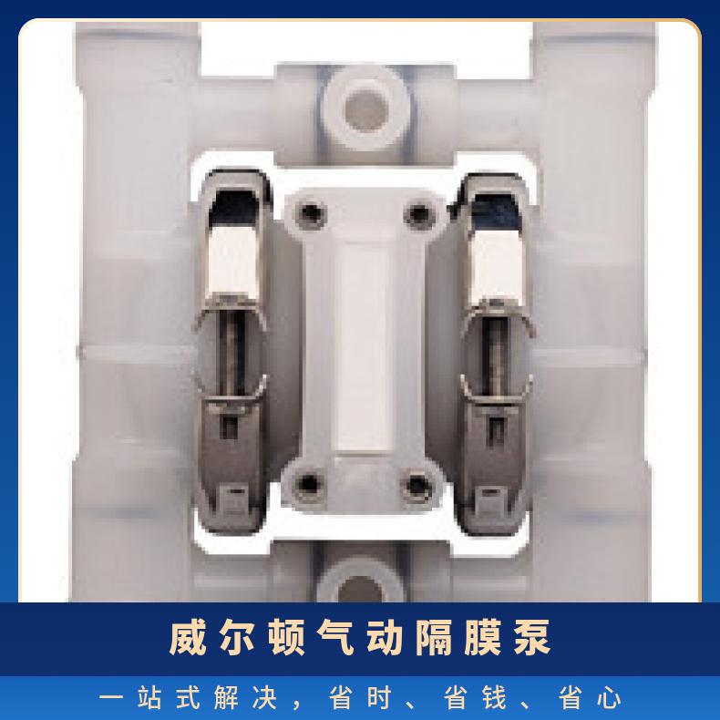 01-10873?? ?威尔顿wilden气动隔膜泵?? ?XPX1/HHAAA/TEU