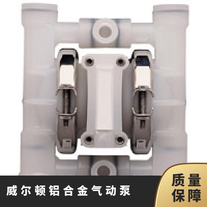 02-12173?? ?威尔顿wilden气动隔膜泵?? ?XPX200/AAAAA/B
