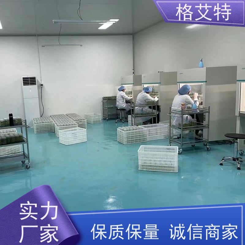 格艾特品牌农业实验室组培室设备 全新国标支持定制