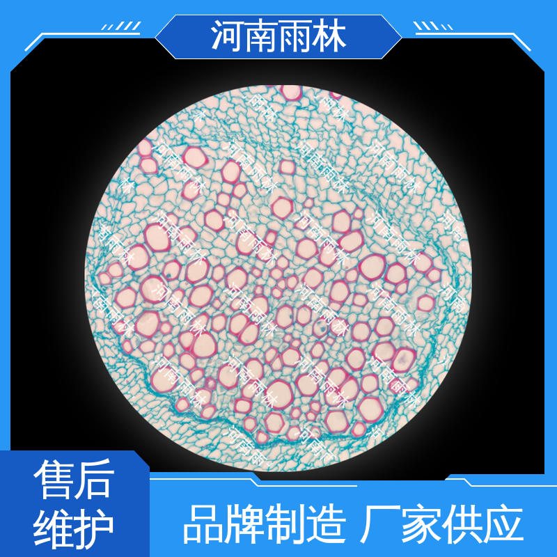 雨林教育 教学切片 售后无忧 质量保障 个性化定做