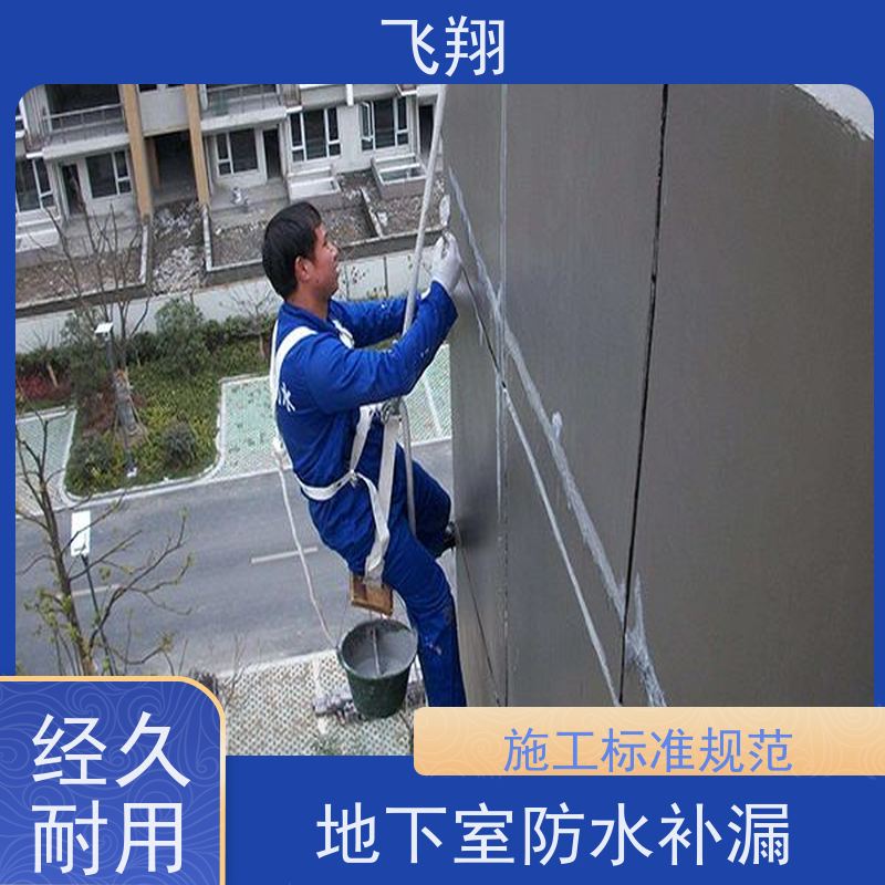飞翔 屋顶防水补漏施工 地下室渗水堵漏 节省成本