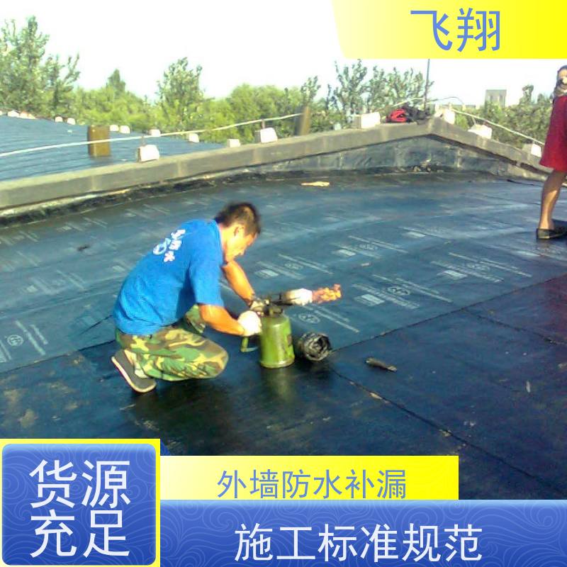 飞翔 厕所防水补漏施工 免费勘察快速修补 高压注浆工法