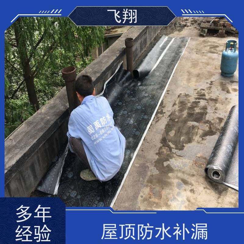 飞翔 卫生间防水补漏施工 免费勘察快速修补 节省成本
