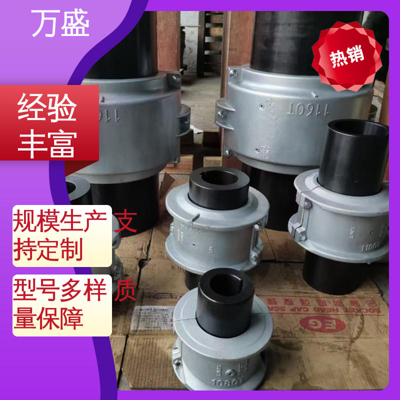 快速拆装式 靠背轮弹性联轴器 JS1蛇簧传动轴 万盛