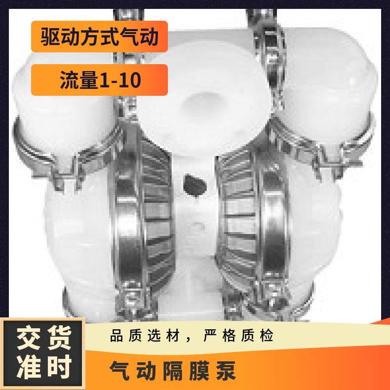 P1/AAPPP/BNS/TF/SBN/0014 威尔顿金属隔膜泵P025 PX1/HHAAA/