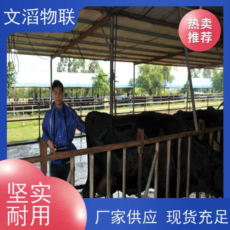 文滔物联 先进技术 日粮监控 生成厂家 支持定制 