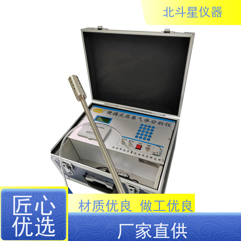 北斗星仪器 实时连续监测 臭气浓度检测仪 pAir2000-EFF