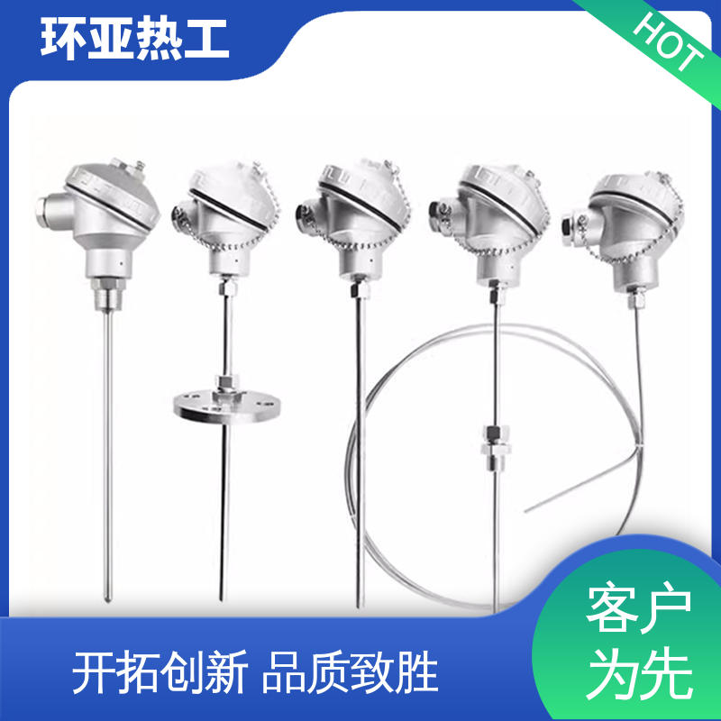 铠装热电偶温度传感器 多点式 厂商 316L材质 环亚