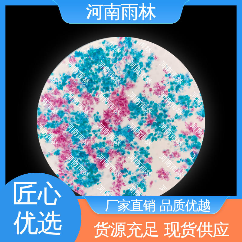 雨林教育工程 可定制 细胞清晰 实验切片 个性化定做