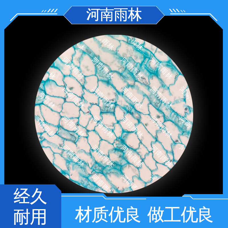 品质优良 生物切片 质量优 源头工厂 雨林教育工程
