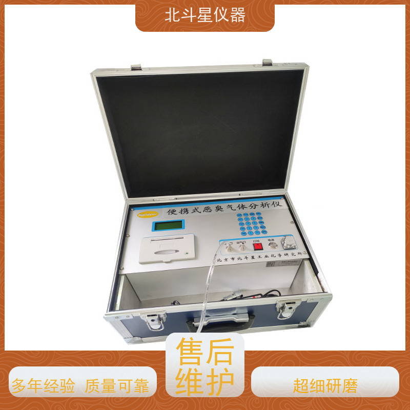 无组织排放环境污染多参数恶臭气体监测仪pAir2000EFF 现场出结果