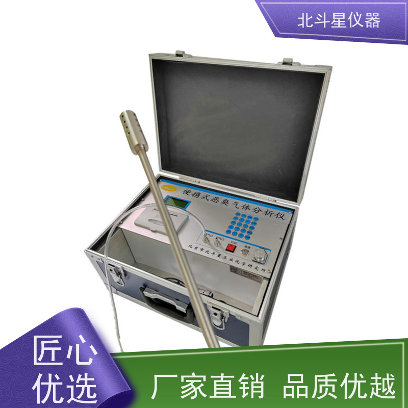 北斗星仪器 城市大气环境巡检 实时连续监测 恶臭气体分析仪