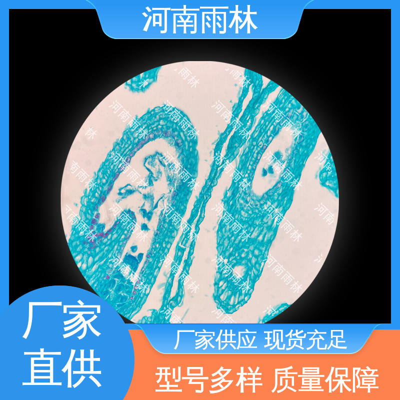 雨林教育工程 植物切片 品质优良 可提供材料 源头工厂