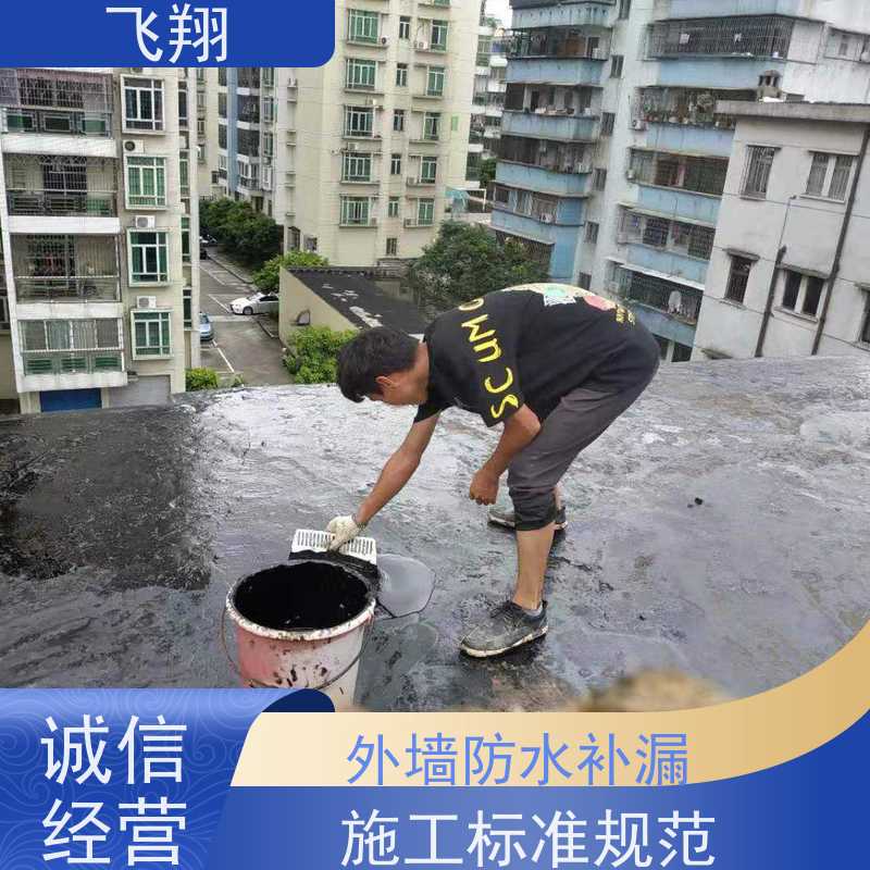 飞翔 防水补漏材料厂家 点部位处理 施工标准规范 节省成本