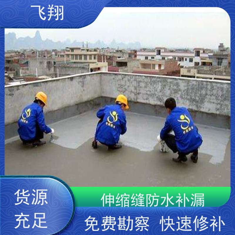 飞翔 阳台防水补漏 上门服务 效率较高省成本 施工速度快 