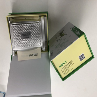 RAD51 酶联检测试剂盒 / 人RAD51同源物(RAD51)48T/96T详情描述