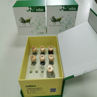 RNASEN ELISA KIT / 人核糖核酸酶Ⅲ(RNASEN)48T/96T实验局限性