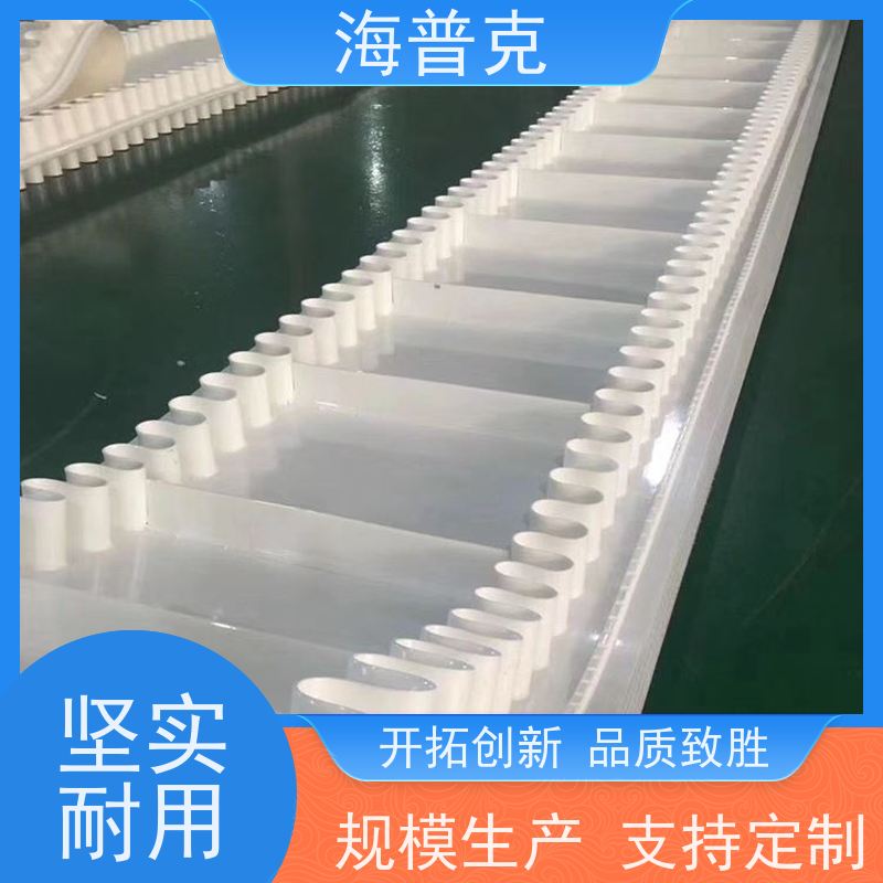 海普克 耐高温 轻型输送带 交货快 产品好 耐热耐摩擦韧性好