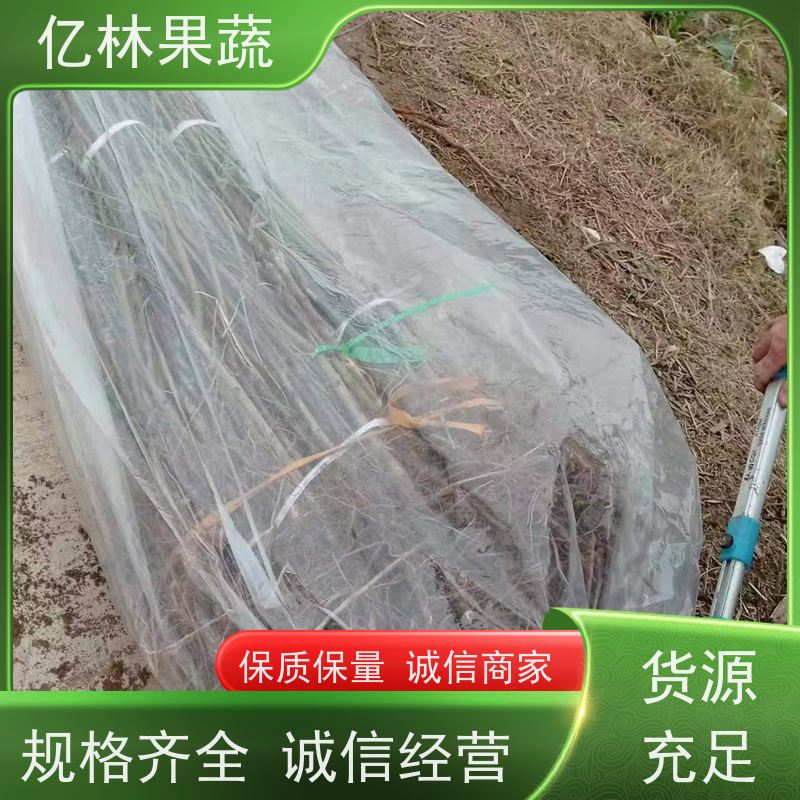 亿林苗木 油桃苗 盆栽地栽庭院桃树苗苗 果实饱满味道好