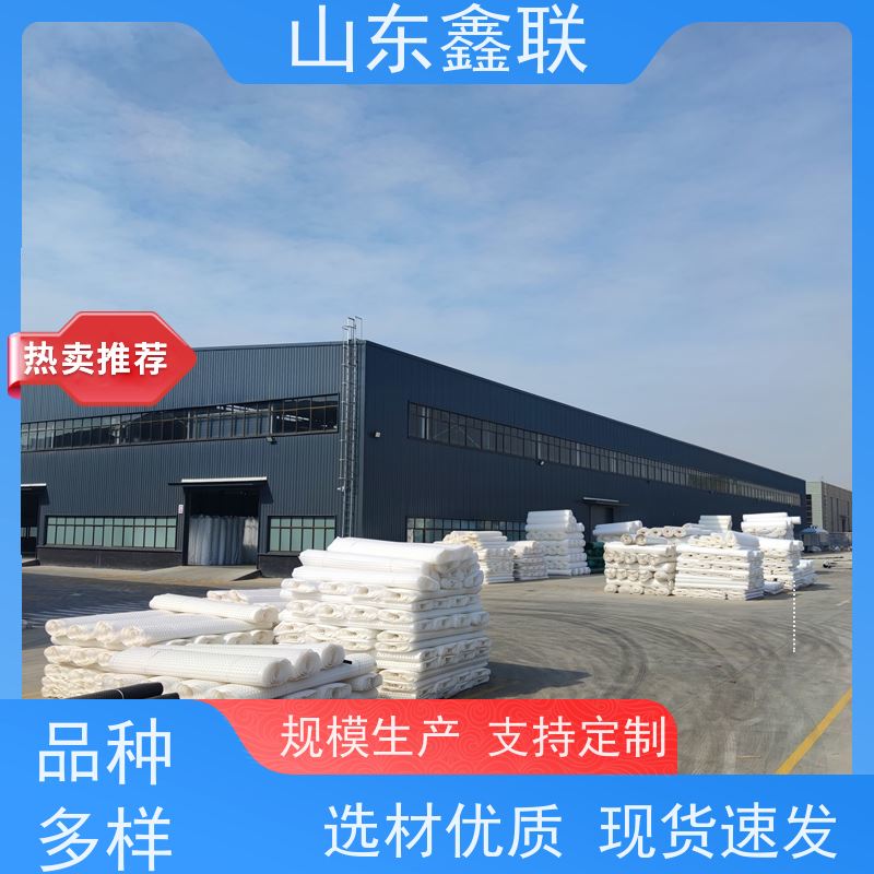 鑫联 14高复合一体 塑料凸片排水层 大厂实力批发 PE排蓄水板