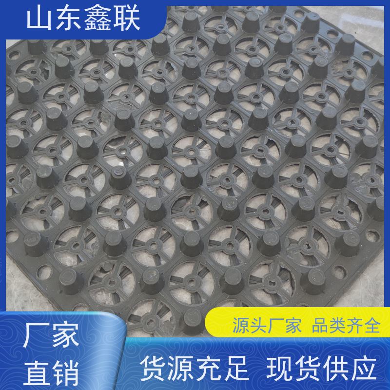 鑫联 40高3*10 塑料凸片排水层 厂家施工指导 厚滤水板