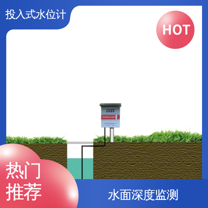 自动化实时监测 河流管网 硅压阻式水位计 液位高度