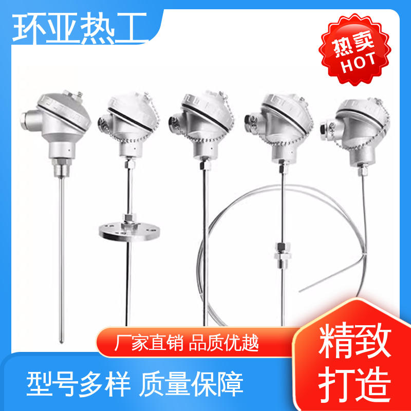 铠装偶WRNK-K/N/E/T/J/191型 电阻探头 生产厂家 防腐强酸碱 环亚