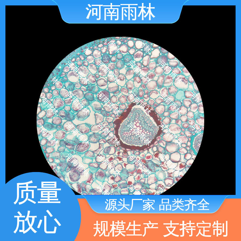 雨林教育工程 个性化定做 一对一质检 质量优 生物切片