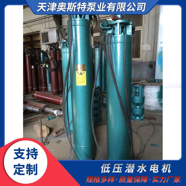 660V低压潜水电机 散热快 技术成熟 助力水下工程顺利进行