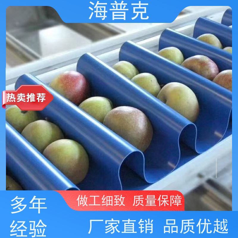 海普克 厂家尺寸定制 耐热耐摩擦韧性好 小型食品粮食 阻燃输送带