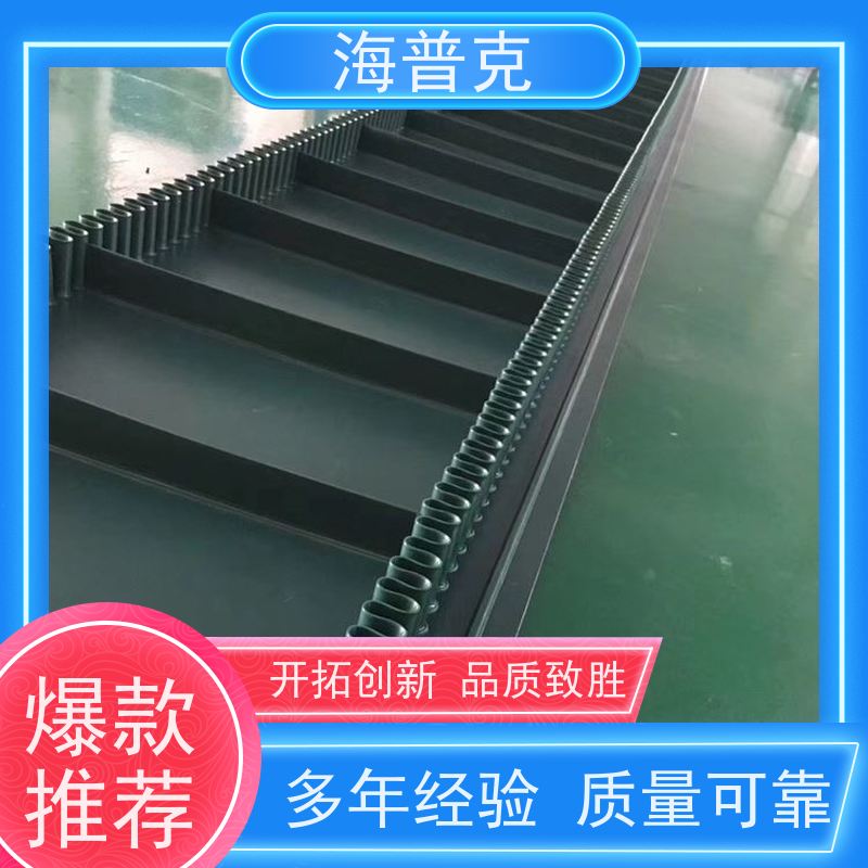 海普克 阻燃性能好 厂家尺寸定制 流水线轻型工业 食品输送带