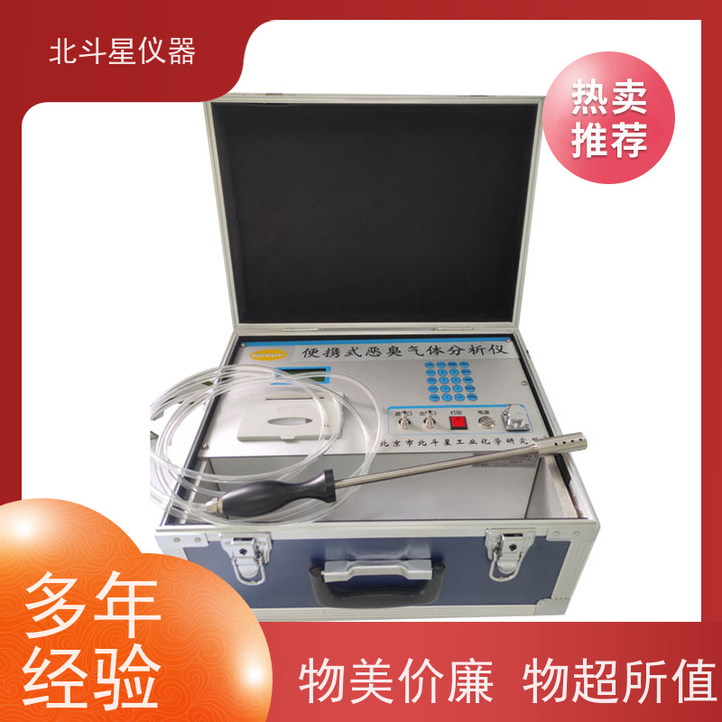 北斗星仪器 性能可靠稳定 灵敏度高 恶臭异味检测仪 pAir2000-EFF