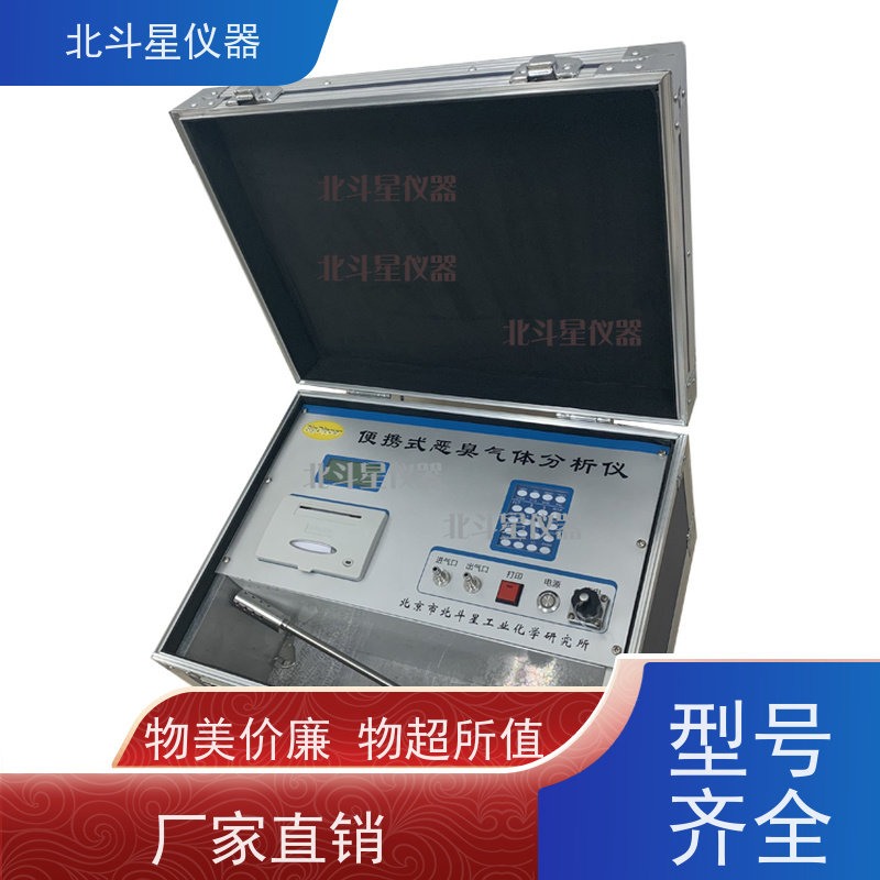 北斗星仪器 高精度电化学传感器 臭气浓度检测仪 便携式