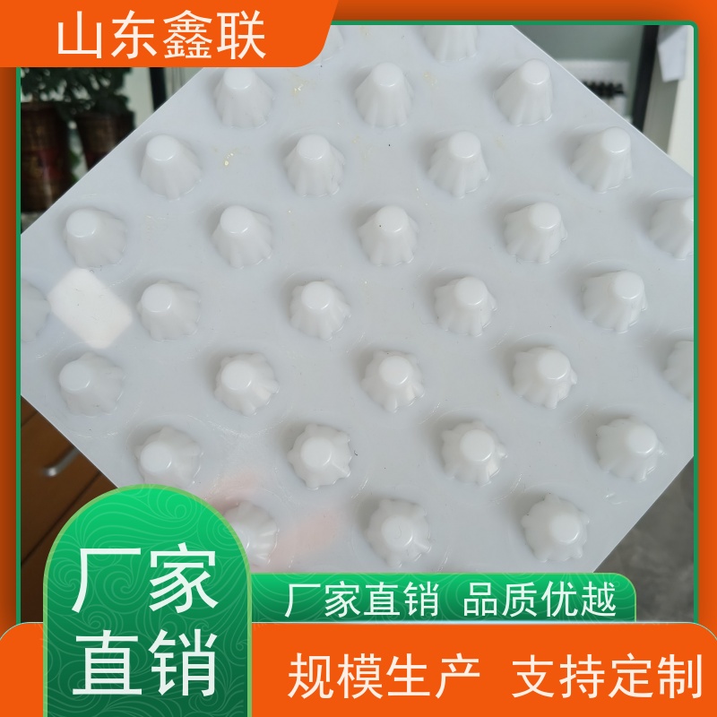 鑫联 黑色国标料 塑料凸片排水层 大厂实力批发 PE疏水板