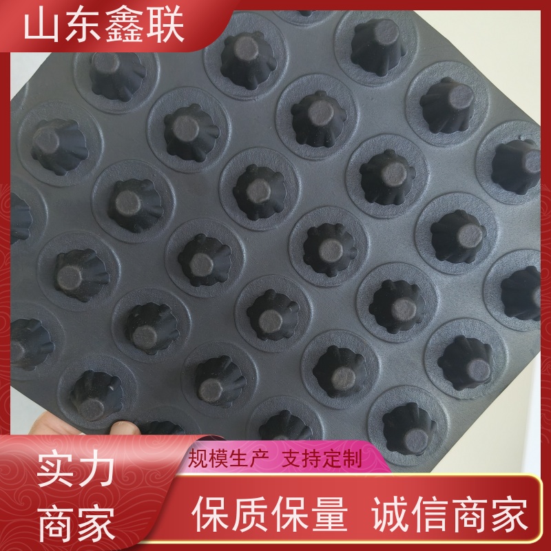 鑫联 25高卷材 塑料凸片排水层 国检认证品质 厚滤水板