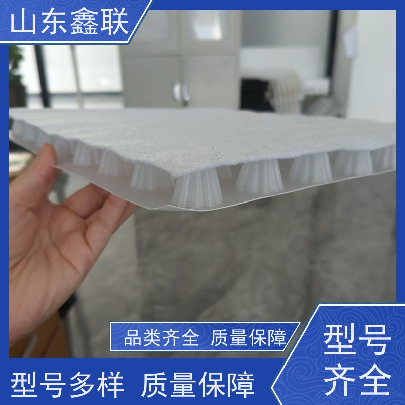鑫联 6公分黑色 塑料凸片排水层 屋顶花园绿化 成品疏水板