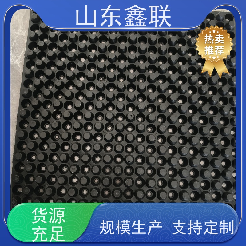 鑫联 白色全新料 塑料凸片排水层 科研创新 PE疏水板
