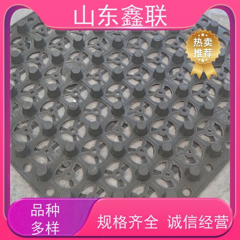 鑫联 白色全新料 塑料凸片排水层 科研创新 聚乙 烯滤水板