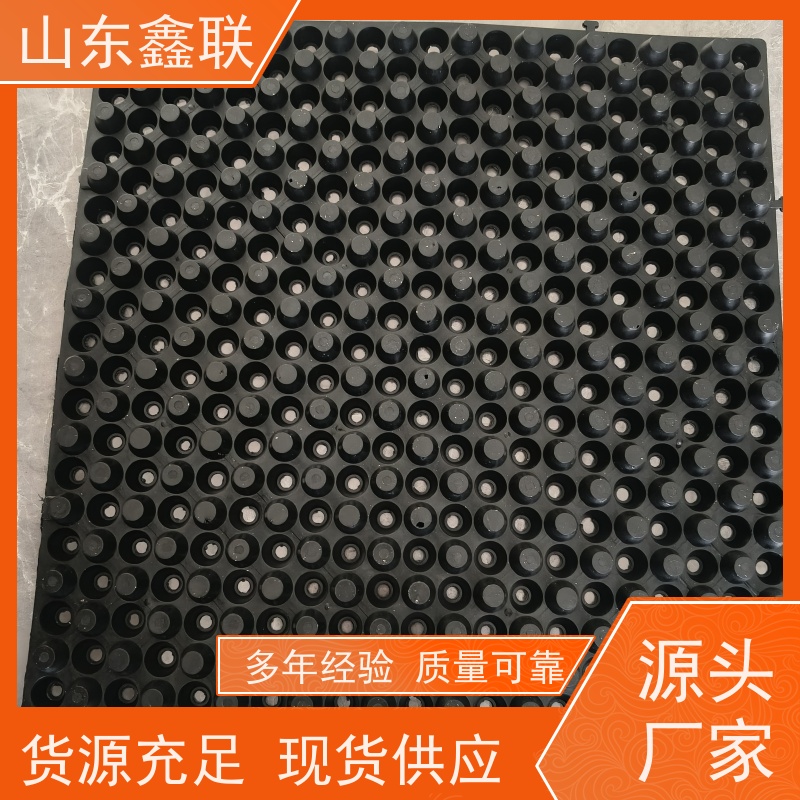 鑫联 40高3*10 塑料凸片排水层 大厂实力批发 厚滤水板