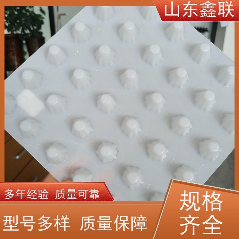 鑫联 40高3*10 塑料凸片排水层 百亩面积厂商 PE疏水板