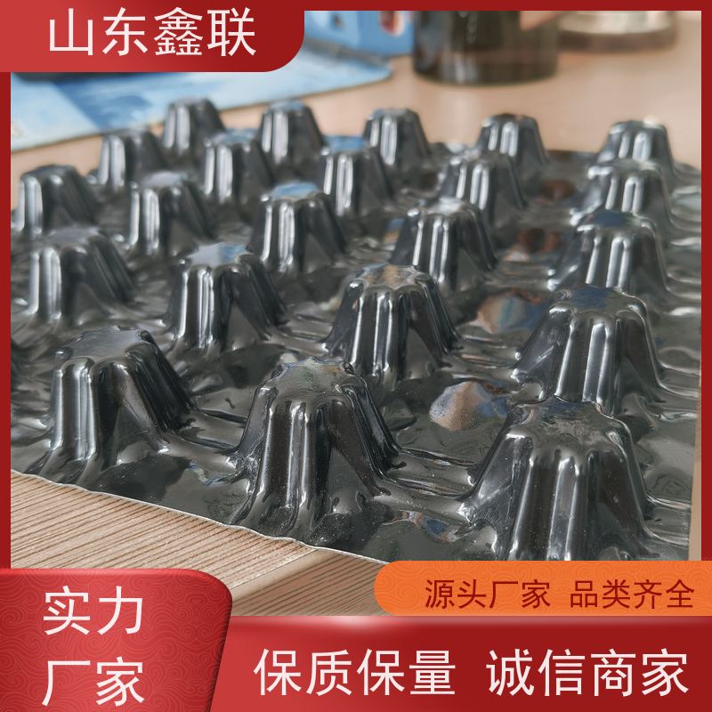 鑫联 40高3*10 塑料凸片排水层 屋顶花园绿化 成品疏水板