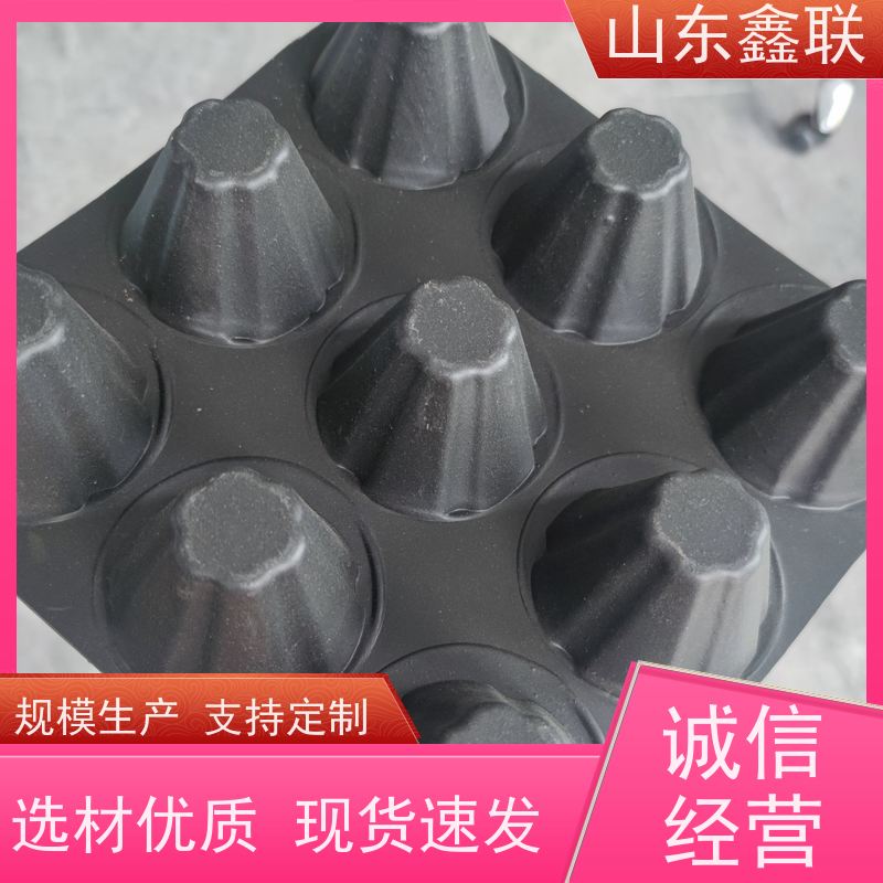 鑫联 25高卷材 塑料凸片排水层 百亩面积厂商 成品疏水板