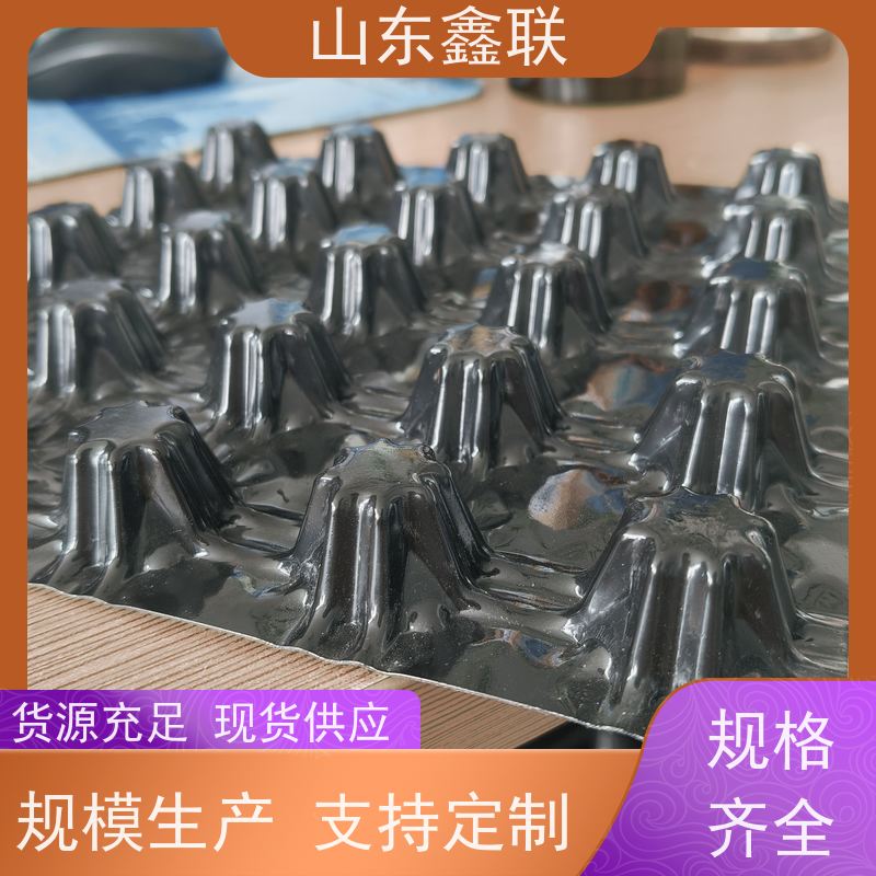 鑫联 白色全新料 塑料凸片排水层 专注生产供应 PE疏水板