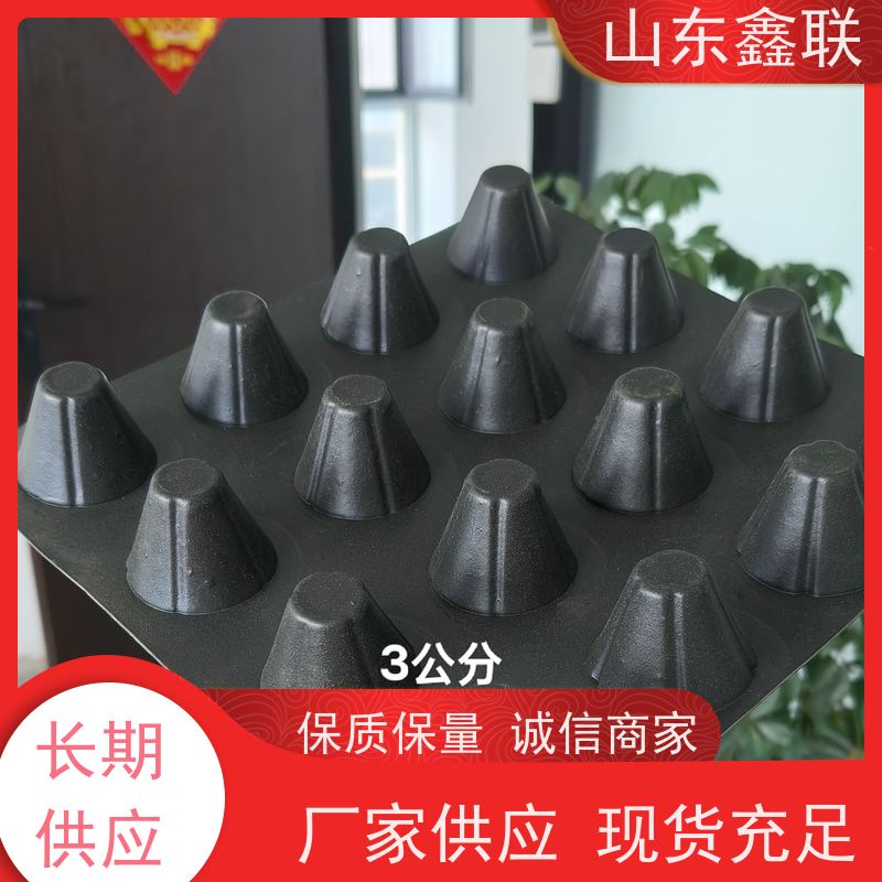 鑫联 20大杯口蓝色底板专用 塑料凸片排水层 厂家施工指导 PE排蓄水板