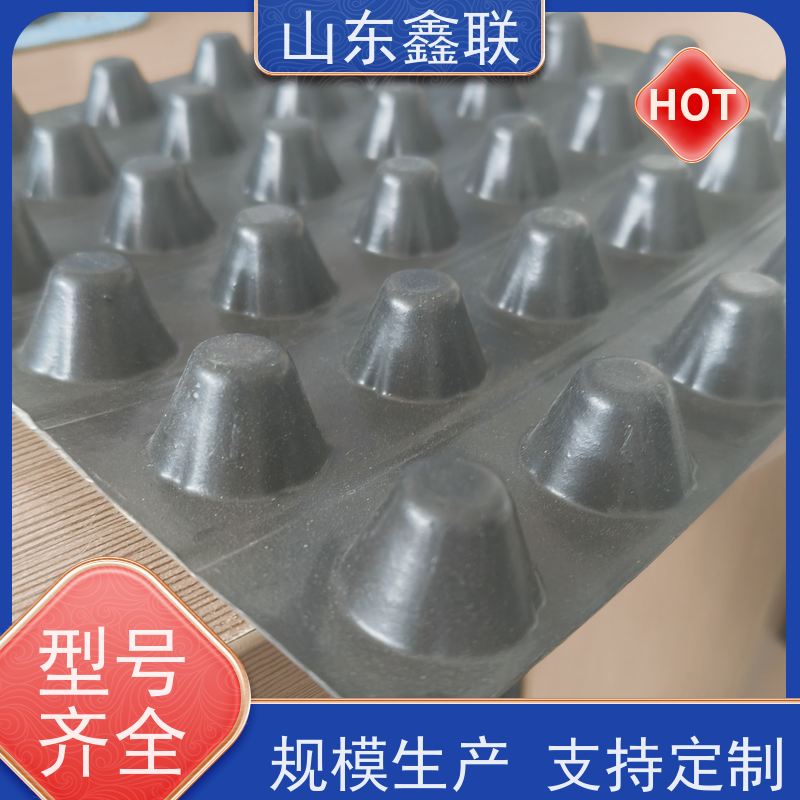 鑫联 50高黑色 塑料凸片排水层 厂家施工指导 聚乙 烯滤水板