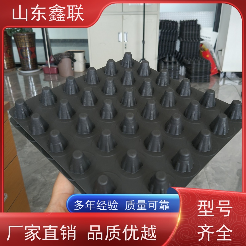 鑫联 3公分高 塑料凸片排水层 厂家施工指导 PE疏水板