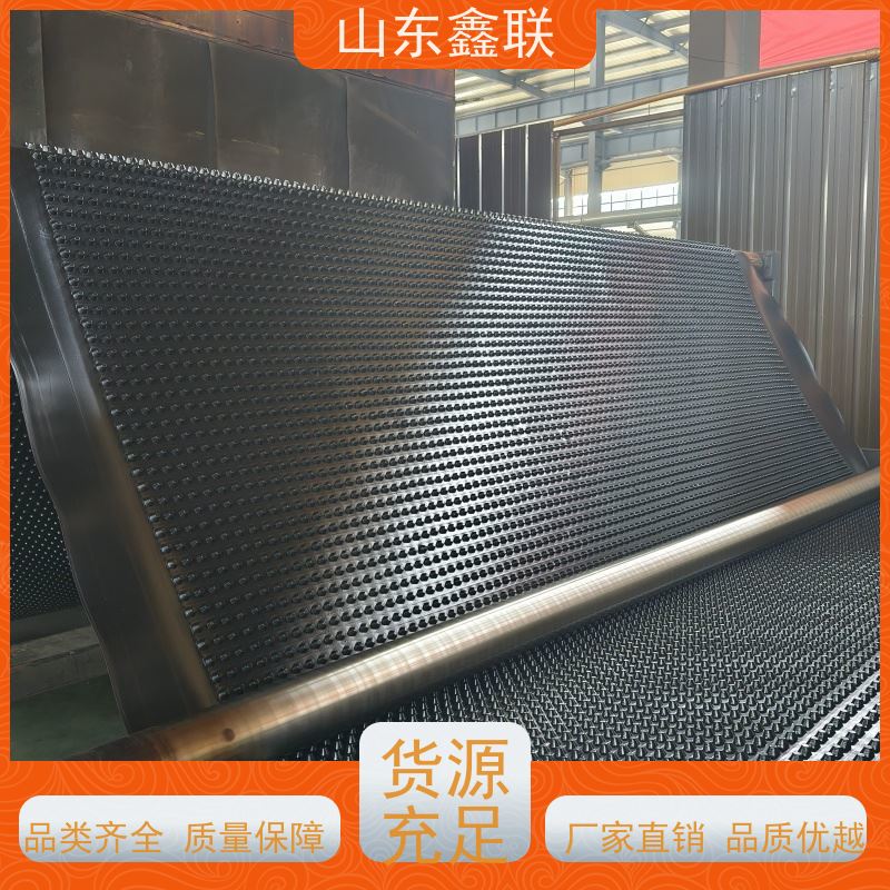 鑫联 白色全新料 塑料凸片排水层 专注生产供应 聚乙 烯滤水板